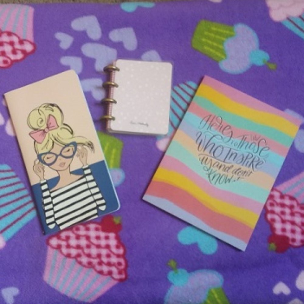 Bundle of 3 small notebooks